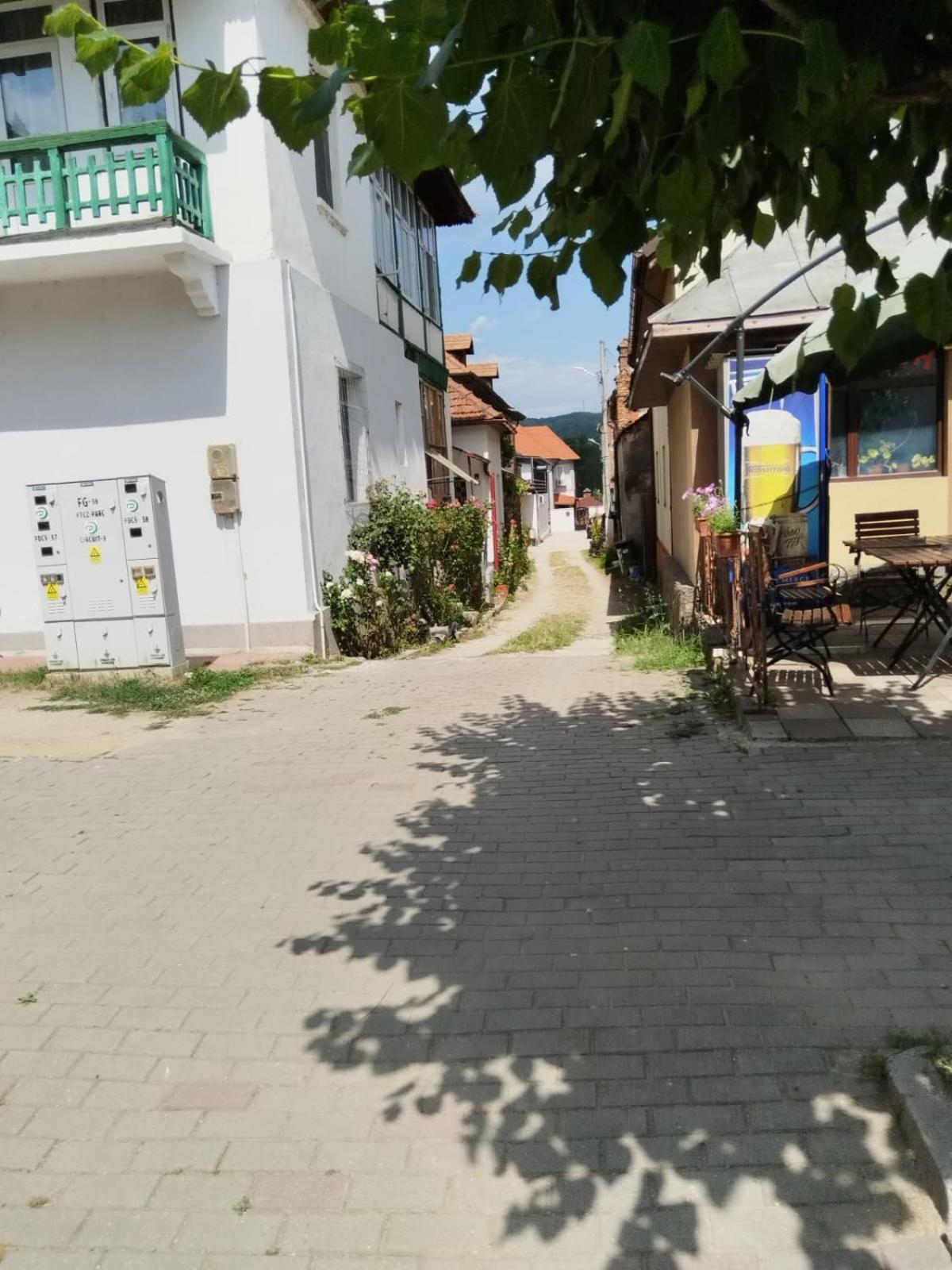 Urbanist Guest House Calimanesti Exterior foto